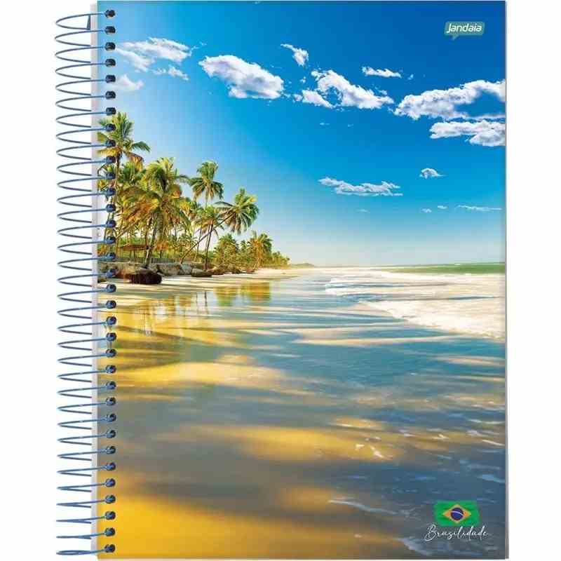 CADERNO 20X1 BRASILIDADE